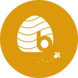 Beehyve Health Ltd